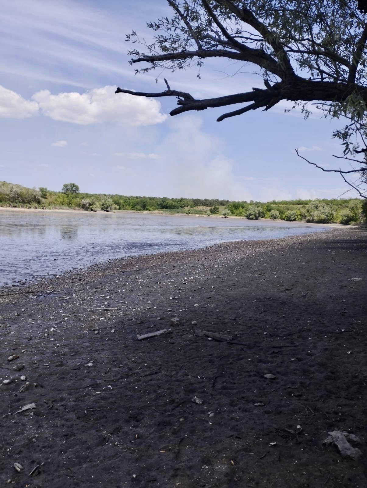Так умирает природа Каховского водохранилища. В сети показали трагические фото